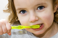 Fluoride influences the development of the human brain